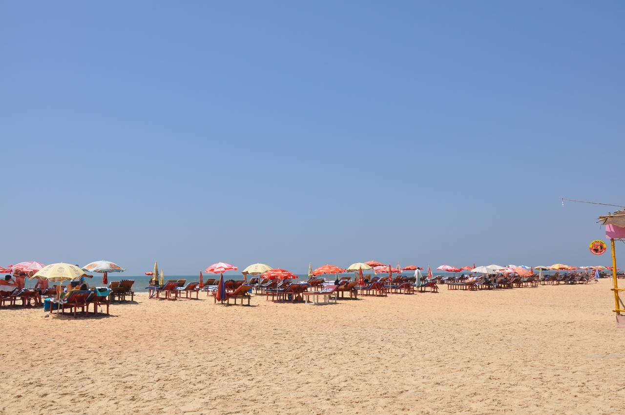 Vila Romila كافيلوسِم المظهر الخارجي الصورة